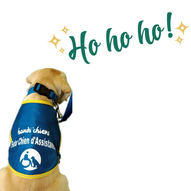 Pour la 6eme année consécutive, je renouvelle mon opération au profit de l’association @handichiens 
Venez avec ou sans vos enfants à la rencontre du 🎅🏻 et participez avec moi à offrir un chien d’assistance à un enfant avec un handicap
Je reverse l’intégralité de la recette à Handi’chiens 💝
Je serai aux marchés de Noël de :
- VIC SUR CERE le 1er décembre 
- MAURS le 8 décembre 
- ARPAJON SUR CERE le 15 décembre 
Merci aux organisateurs et aux communes de m’accueillir gracieusement #acav  @acam_maurs et @arpajonsurcere.animation 
Communes #vicsurcere @communedemaurs @arpajonsurcere 
Merci également aux commerçants partenaires qui se chargeront de la distribution des photos : #boulangerieclaveras @maison.cruzel et #boulangerielegalet
.
.
#cantal #auvergne #maurslajolie #arpajonsurcere #marchedenoel #handicap